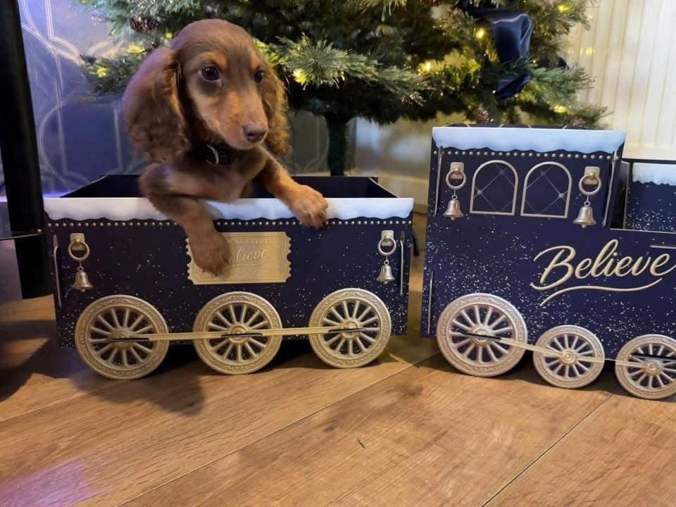 Personalised Express Present Train